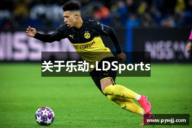 关于乐动·LDSports